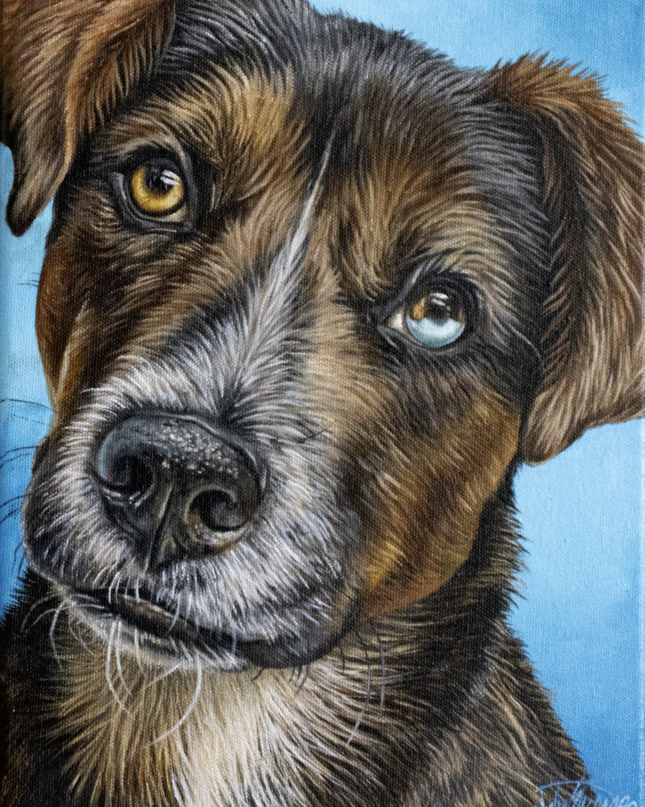 Painted portrait of a dog named Suki with heterochromatic eyes