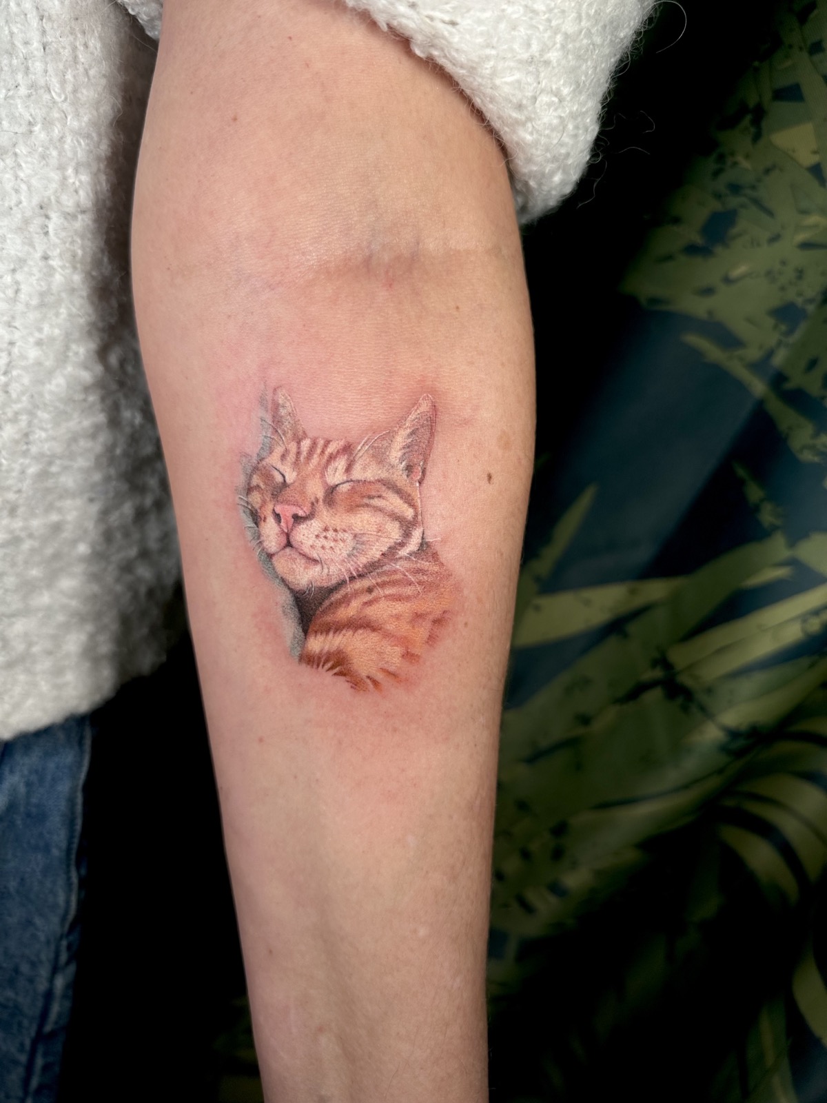 Sleeping Cat Portrait tattoo