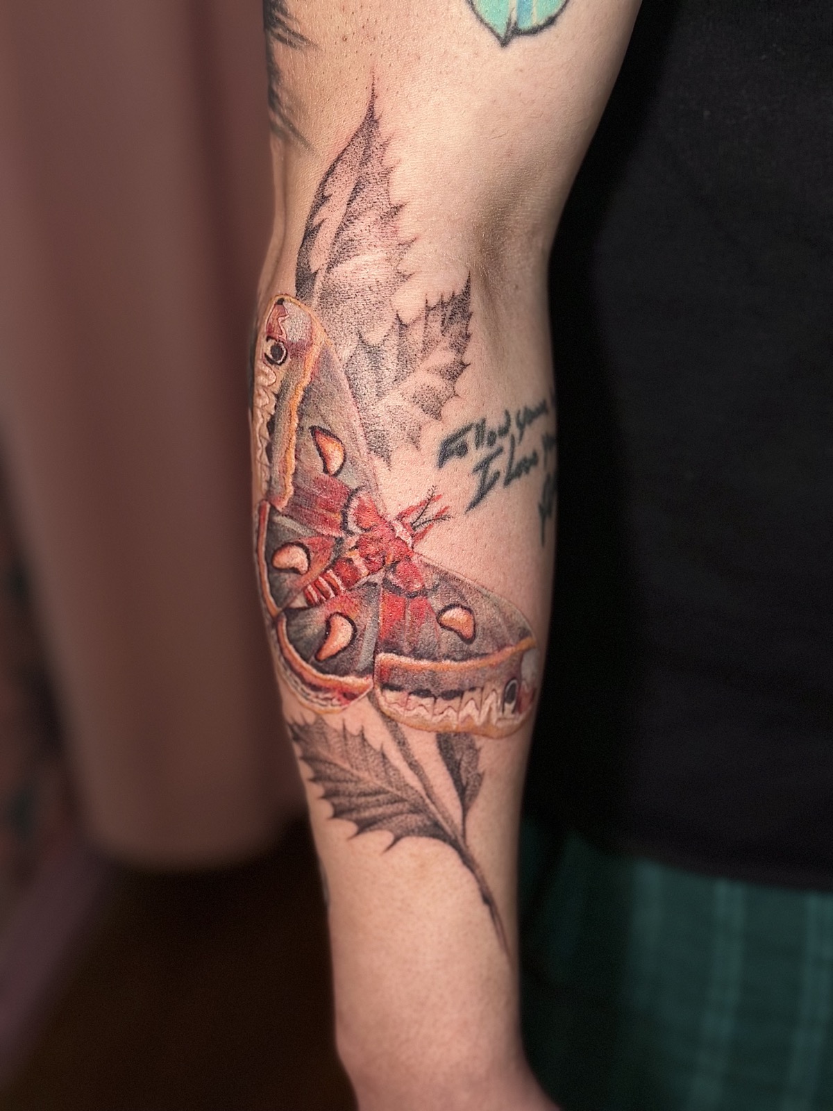 Moth on a Branch tattoo