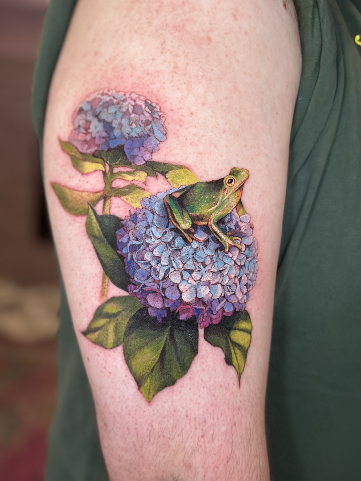 Frog & Hydrangea tattoo