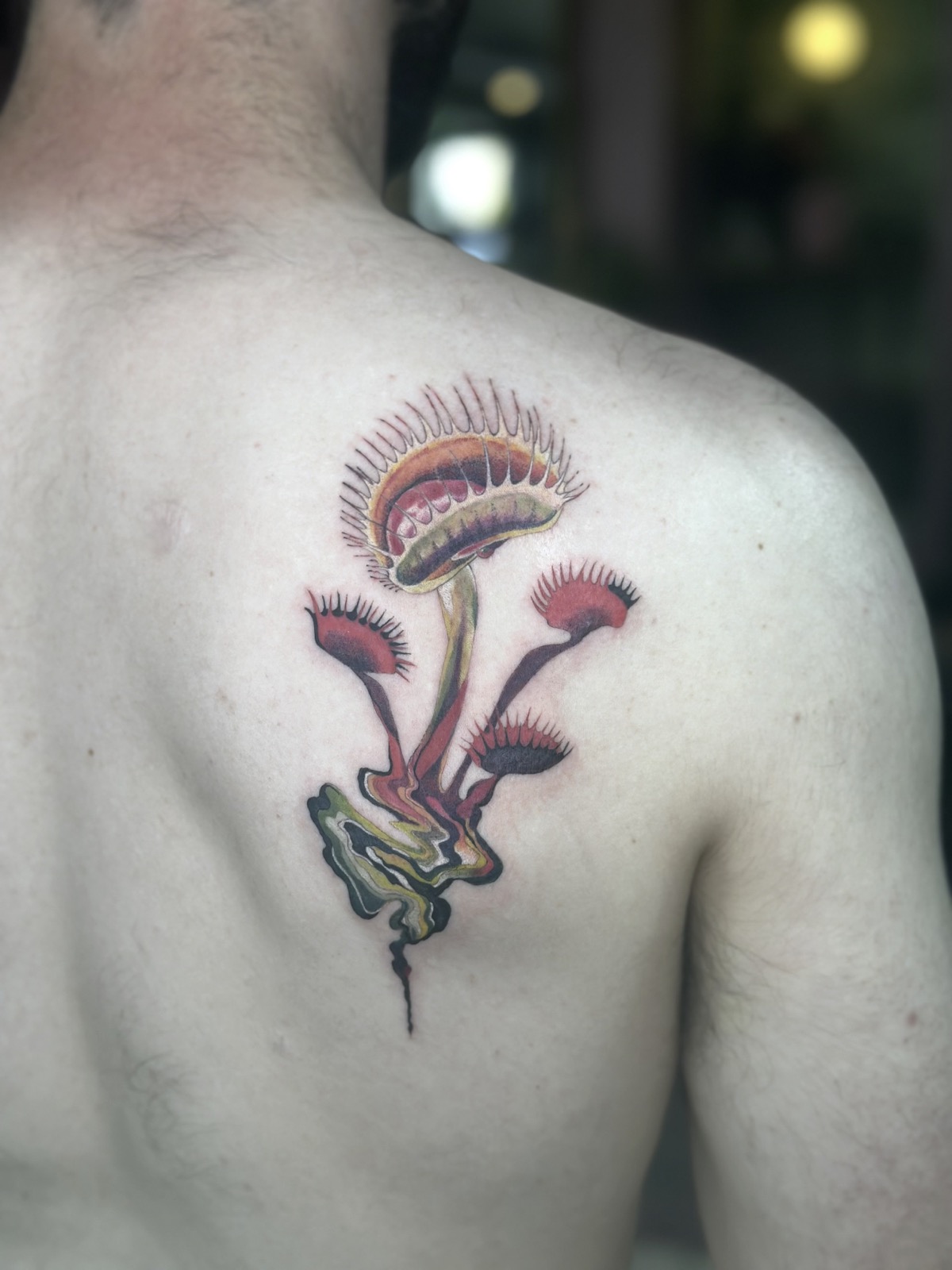 Venus Flytrap tattoo